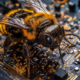 Google's AI Bug-Hunting Tool
